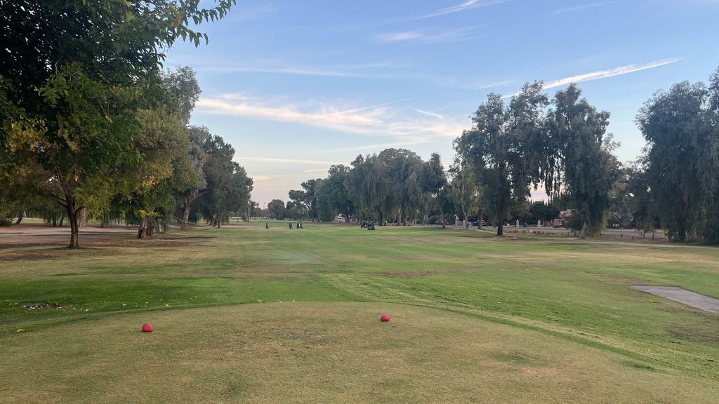 Tee box view at Lemoore Golf Course showing red tee markers, open fairway, trees, and golfers in the distance.